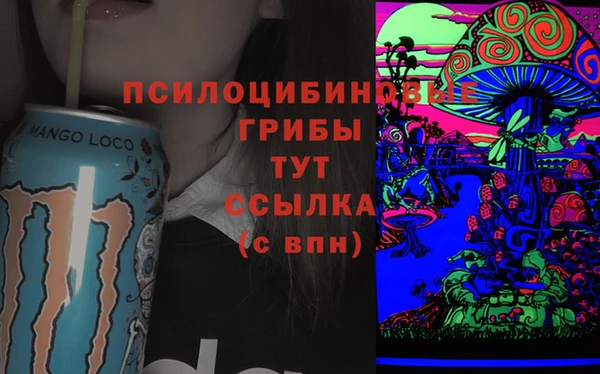мдпв Снежногорск