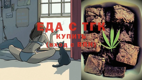 мдпв Снежногорск