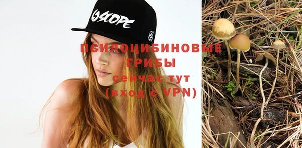 2c-b Радужный