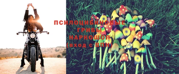 мдпв Снежногорск
