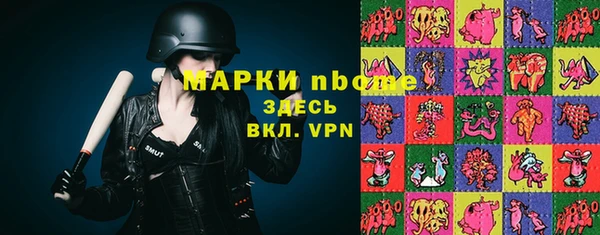 мдпв Снежногорск